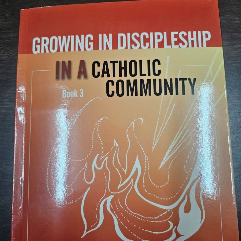 Growing in Discipleship Confirmation Teacher's Text