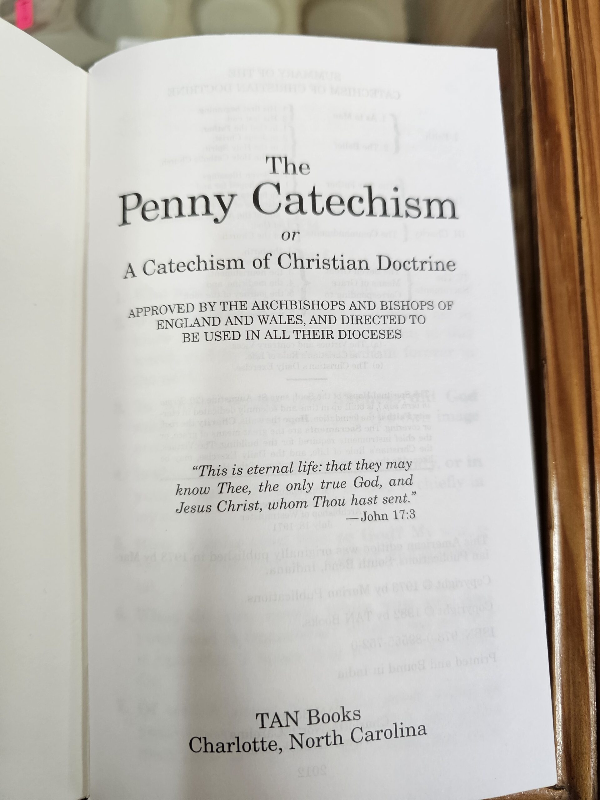 The Penny Catechism - Image 2
