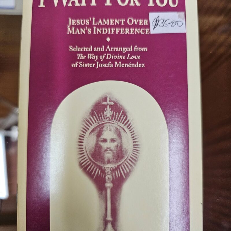 I wait for you - Jesus' lament over man's indifference