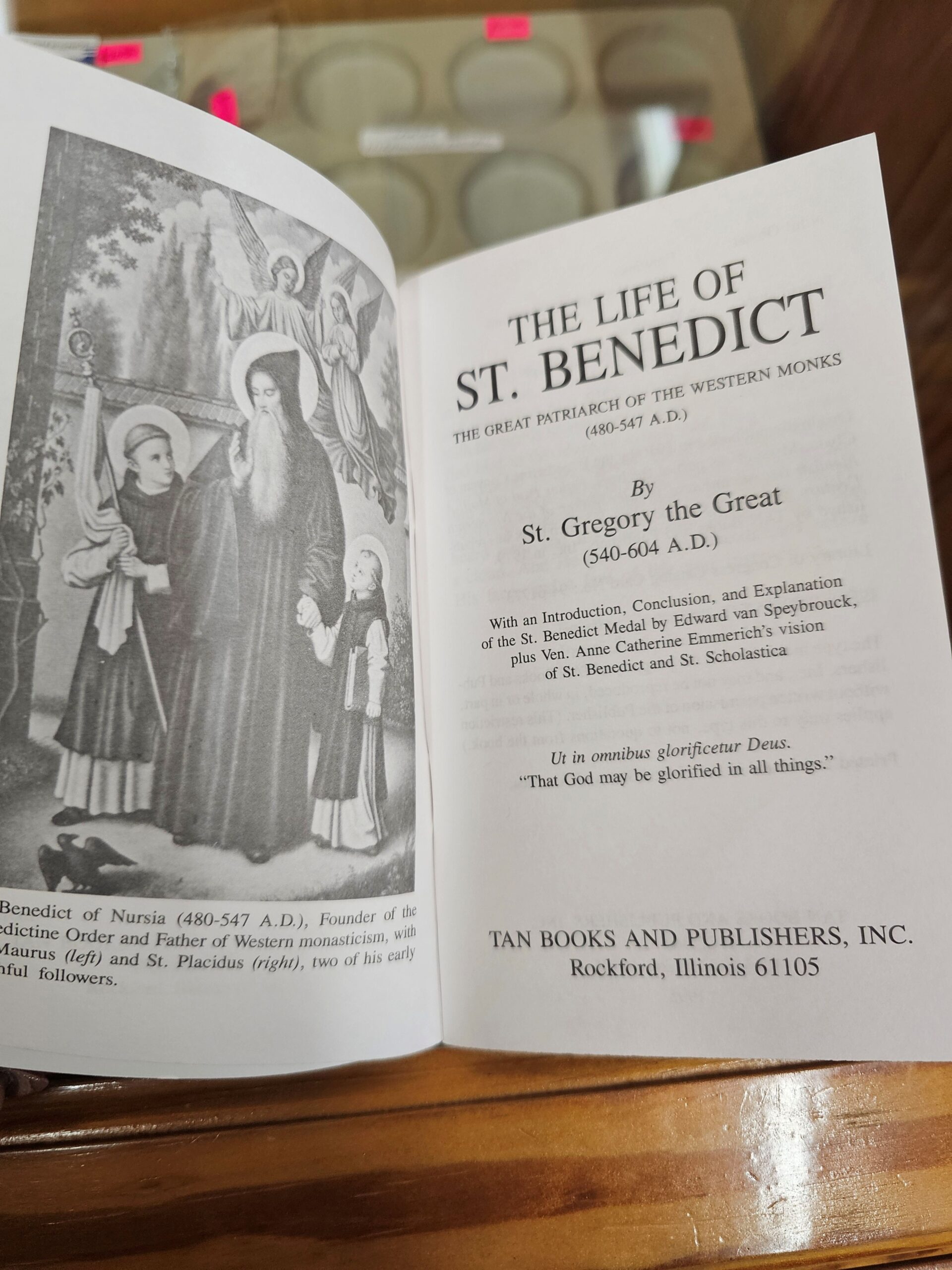 The life of St. Benedict - Image 5
