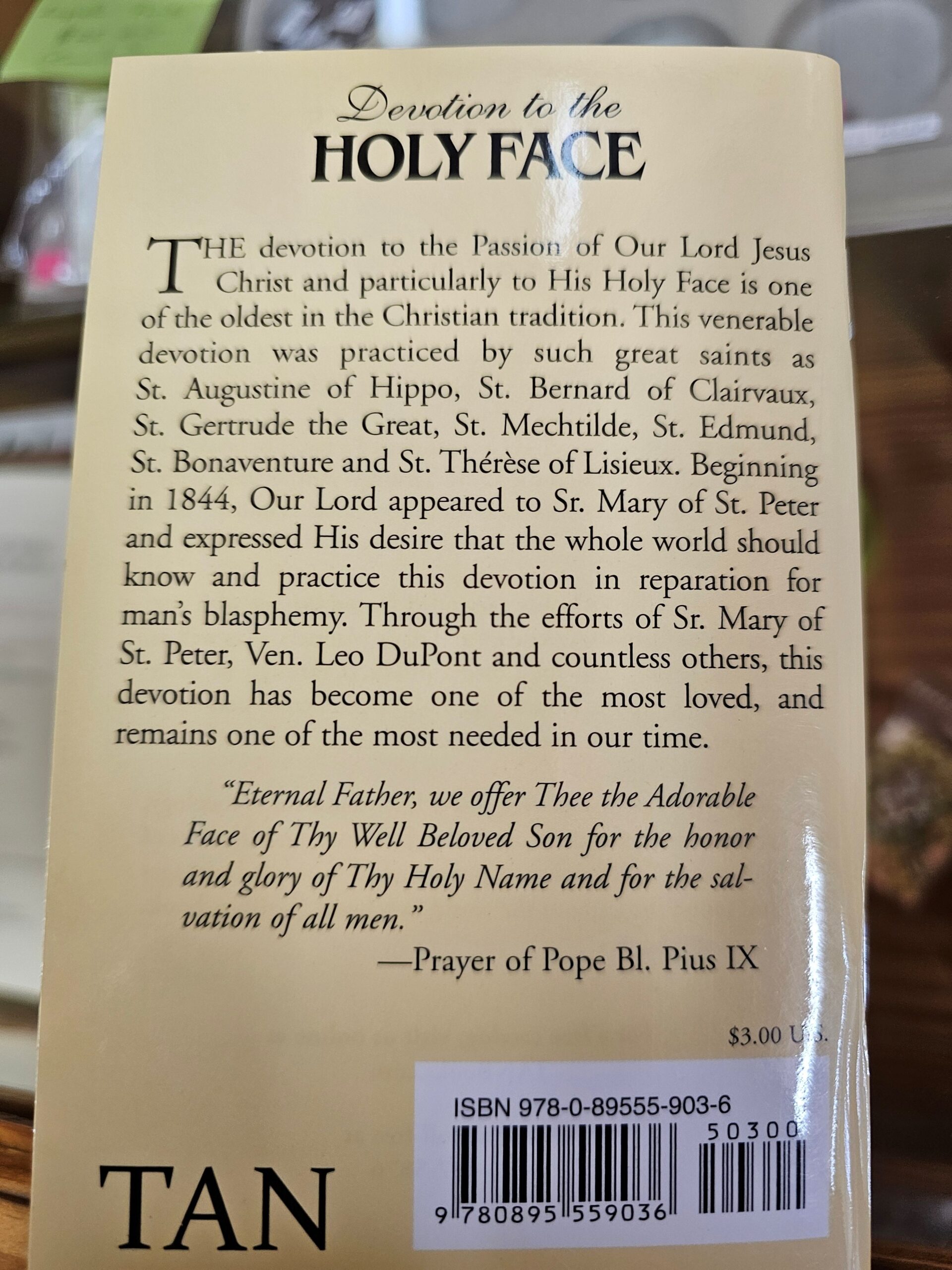 St. Joseph, Fatima and Fatherhood - Reflections on the Miracle of the Sun - Image 2