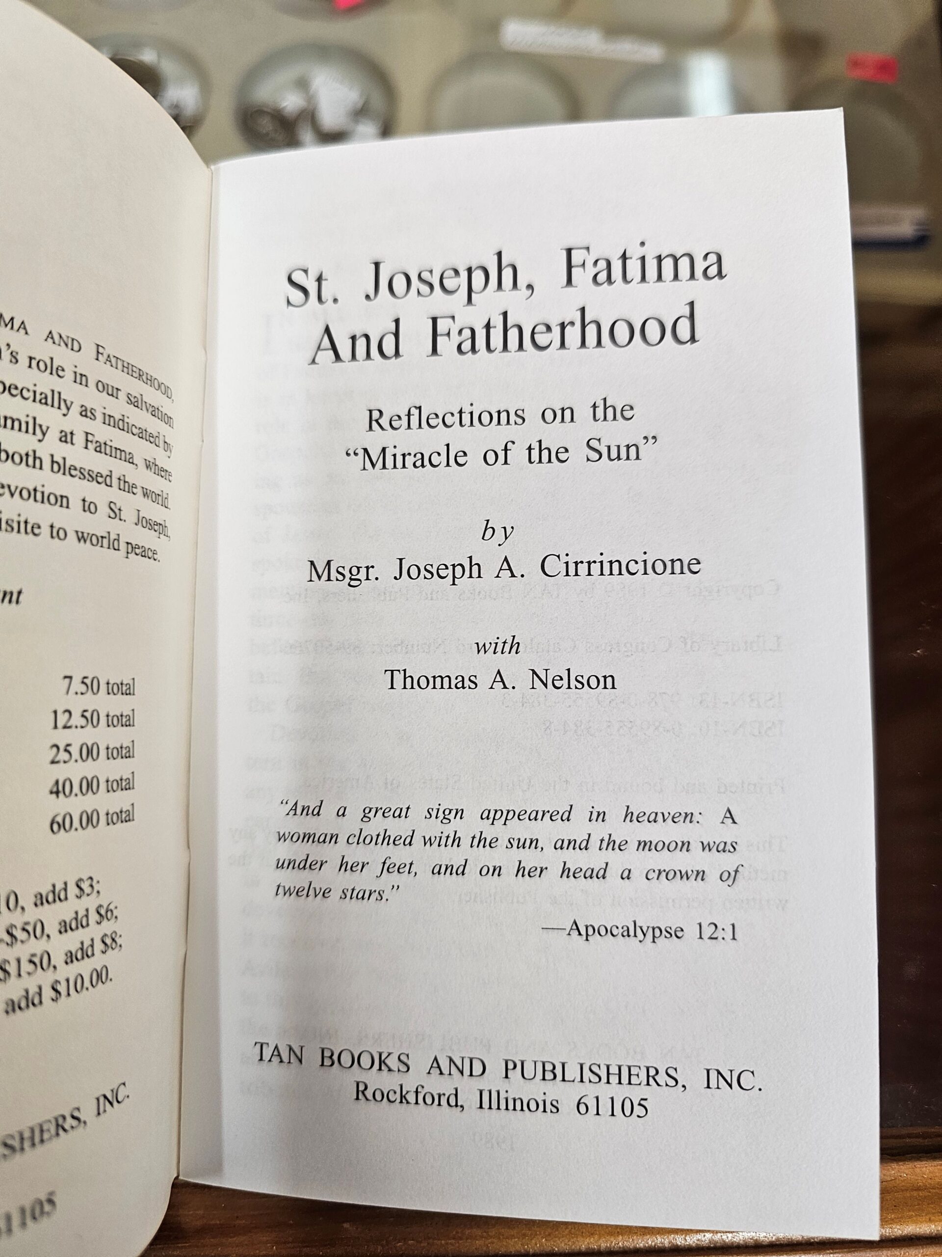 St. Joseph, Fatima and Fatherhood - Reflections on the Miracle of the Sun - Image 3