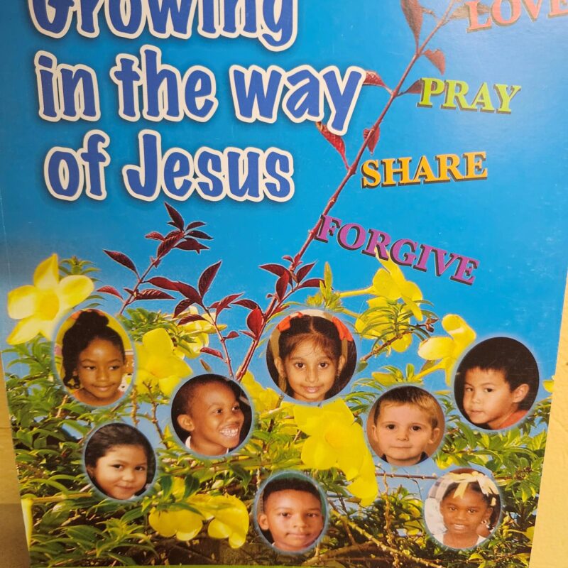 Growing in the way of Jesus by Mary M. Reyes-Mungo