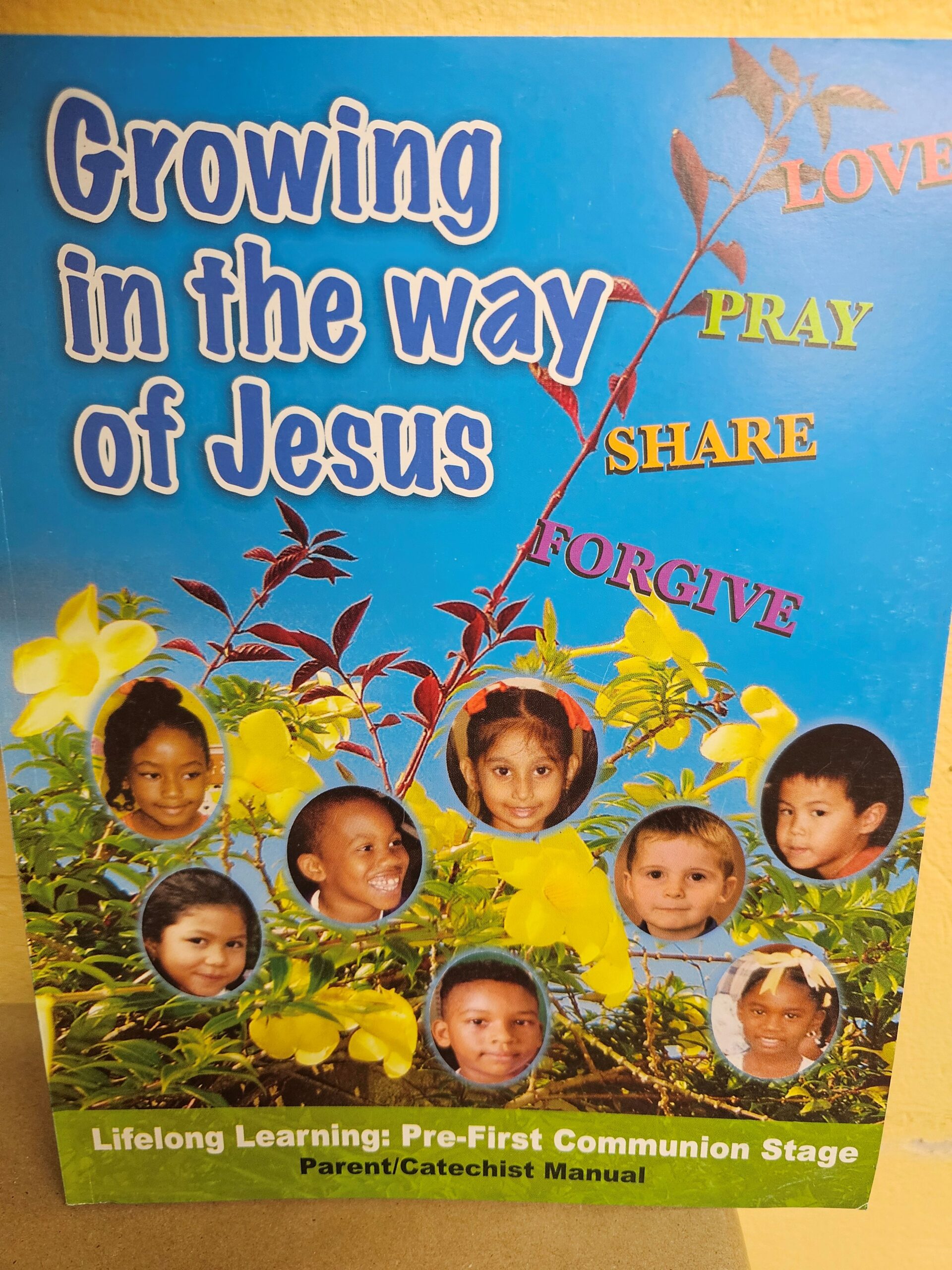 Growing in the way of Jesus by Mary M. Reyes-Mungo