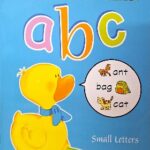 PRESCHOOL ACTIVITIES I CAN READ AND WRITE ABC, Textbooks - Early Childhood – READING- WRITING SMALL LETTERS, available at NSL Online Bookstore - Caribbean early-childhood educational books