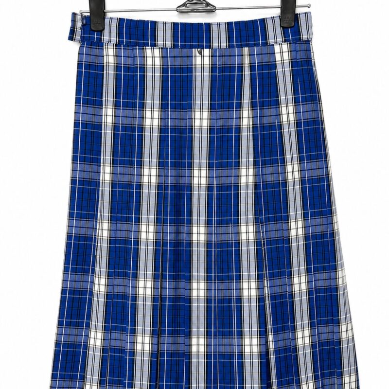 Good Wood Secondary - Girls School Skirt (Blue and White Check)